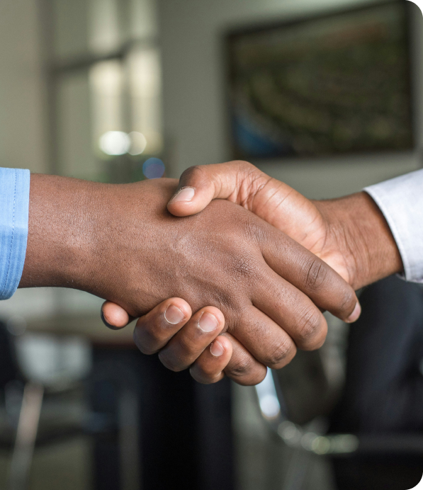 Professional team members