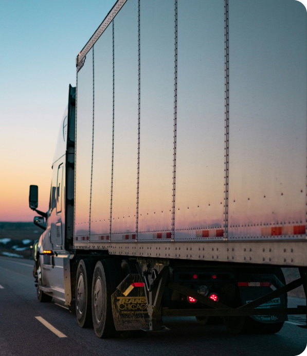 Professional team members