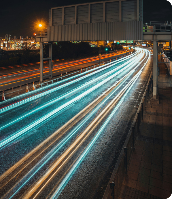 Professional team members