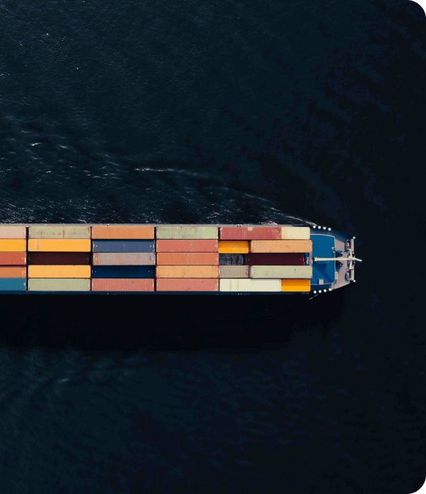 Professional team members