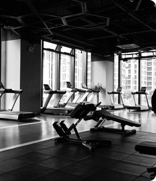 Professional team members