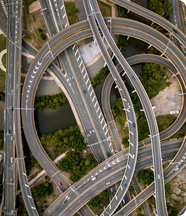 Professional team members