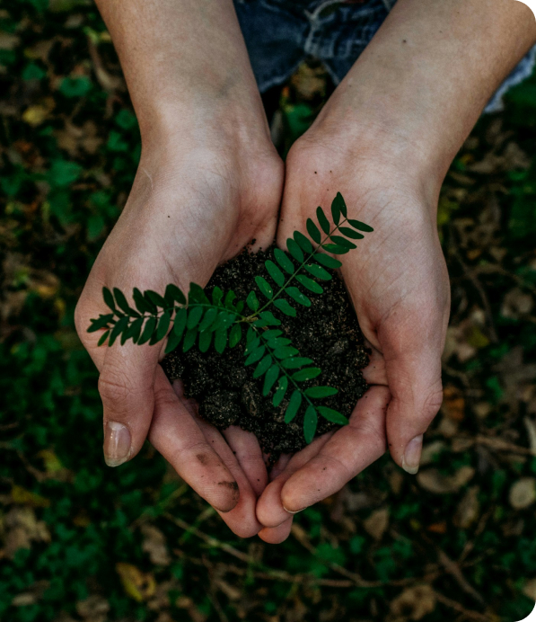 Professional team members