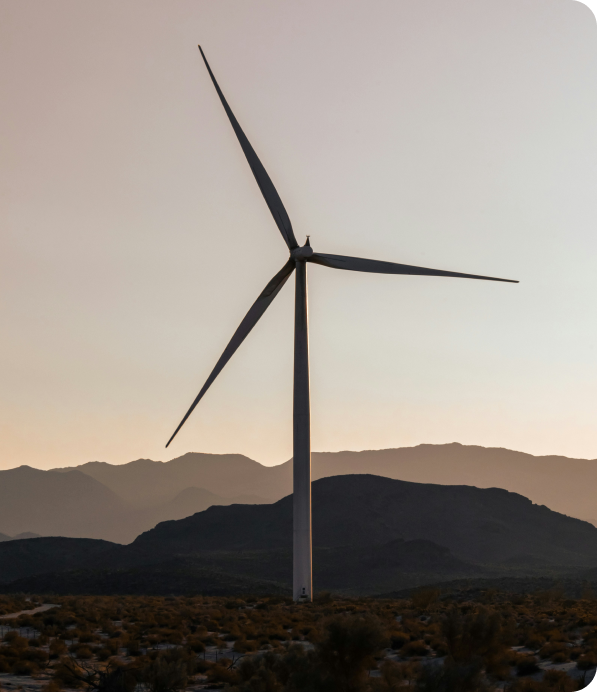 Professional team members